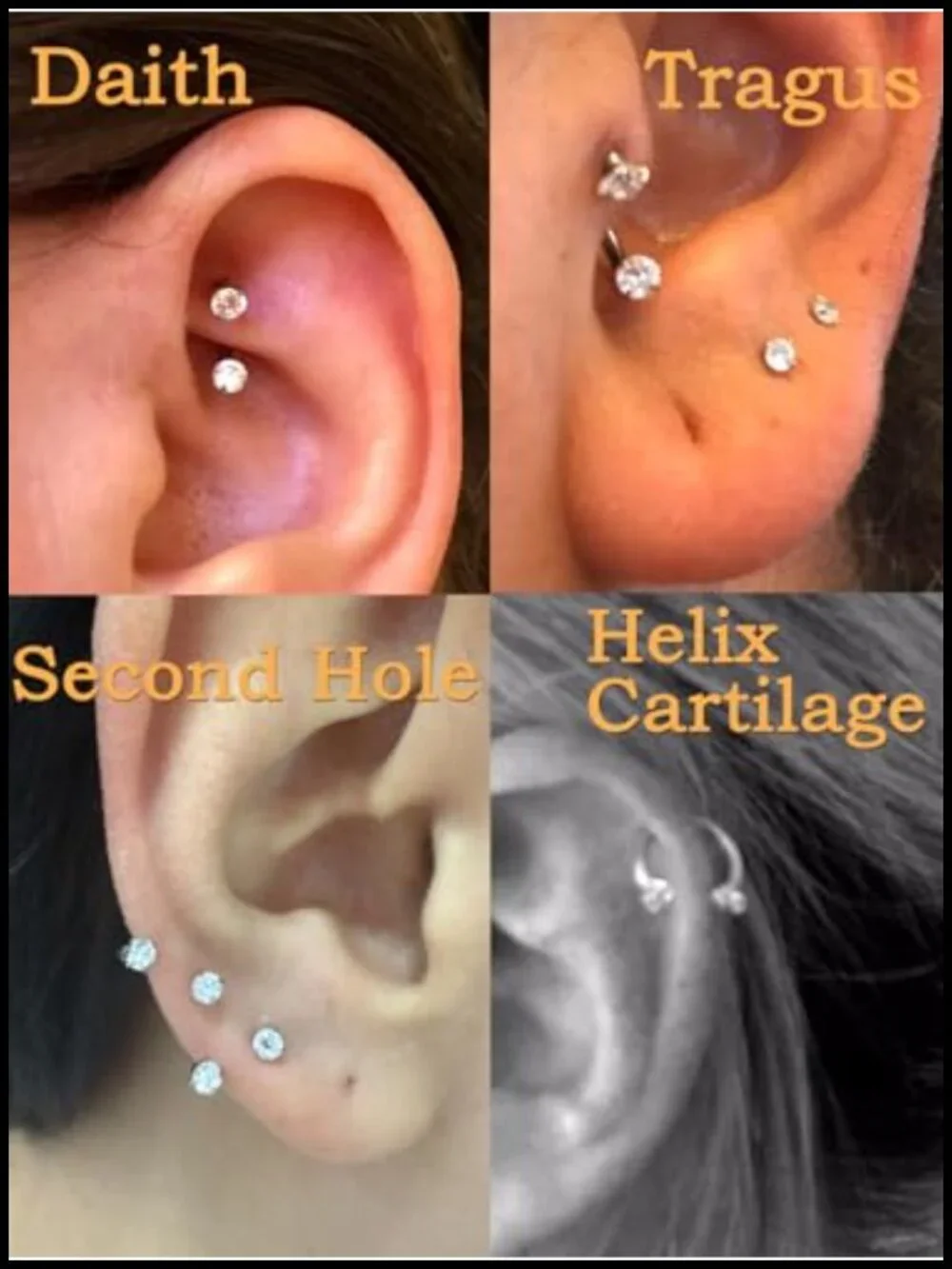 3pc Surgical Steel Horseshoe Nose Ring 18g Gem Double Stud Piercing Jewelry